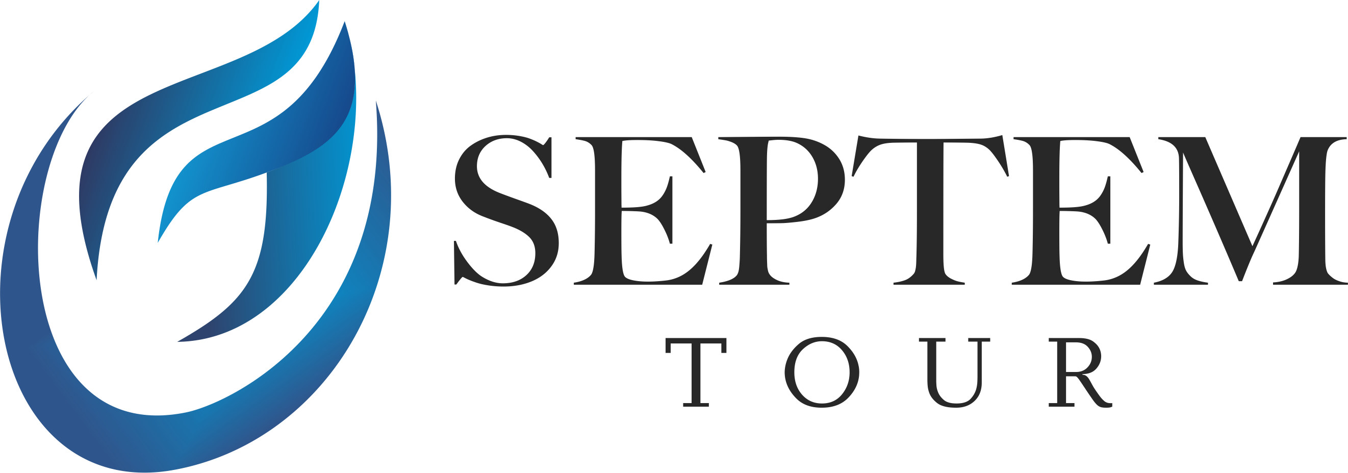 Logo Dark